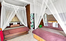 Serenity Homestay